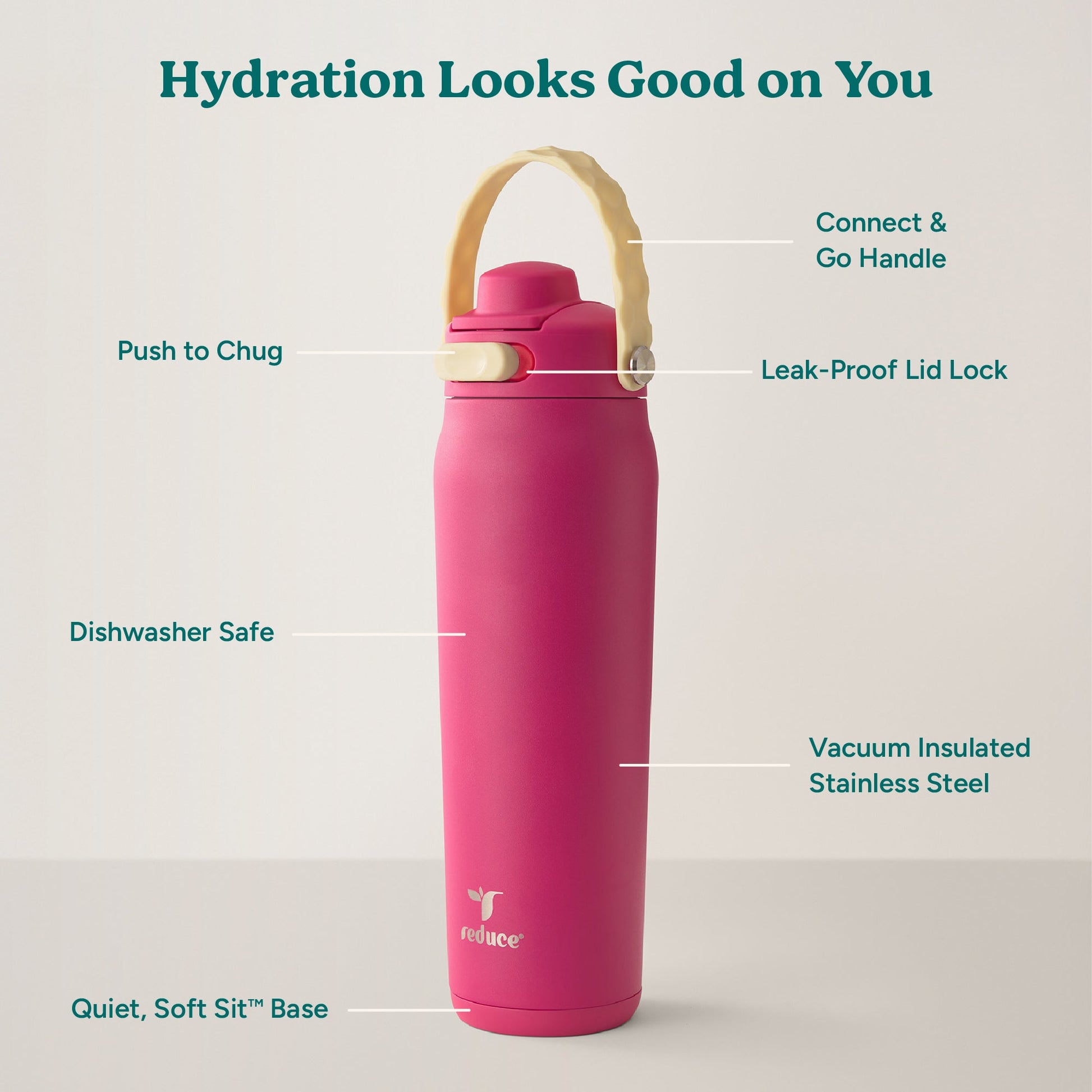 aura-26-oz-o0 Aura_26oz_DragonFruit_PDP_Infographic_2-03.jpg