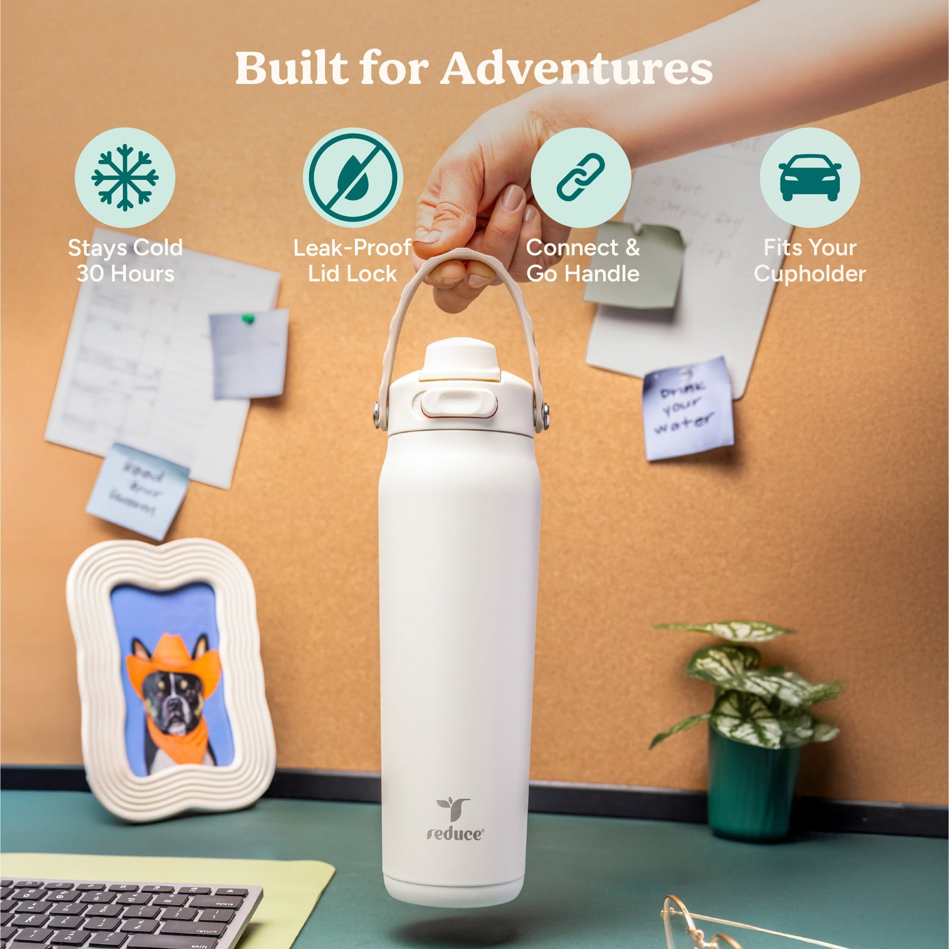 aura-26-oz-o0 Aura_26oz_Unbleached_PDP_Infographic_1.jpg