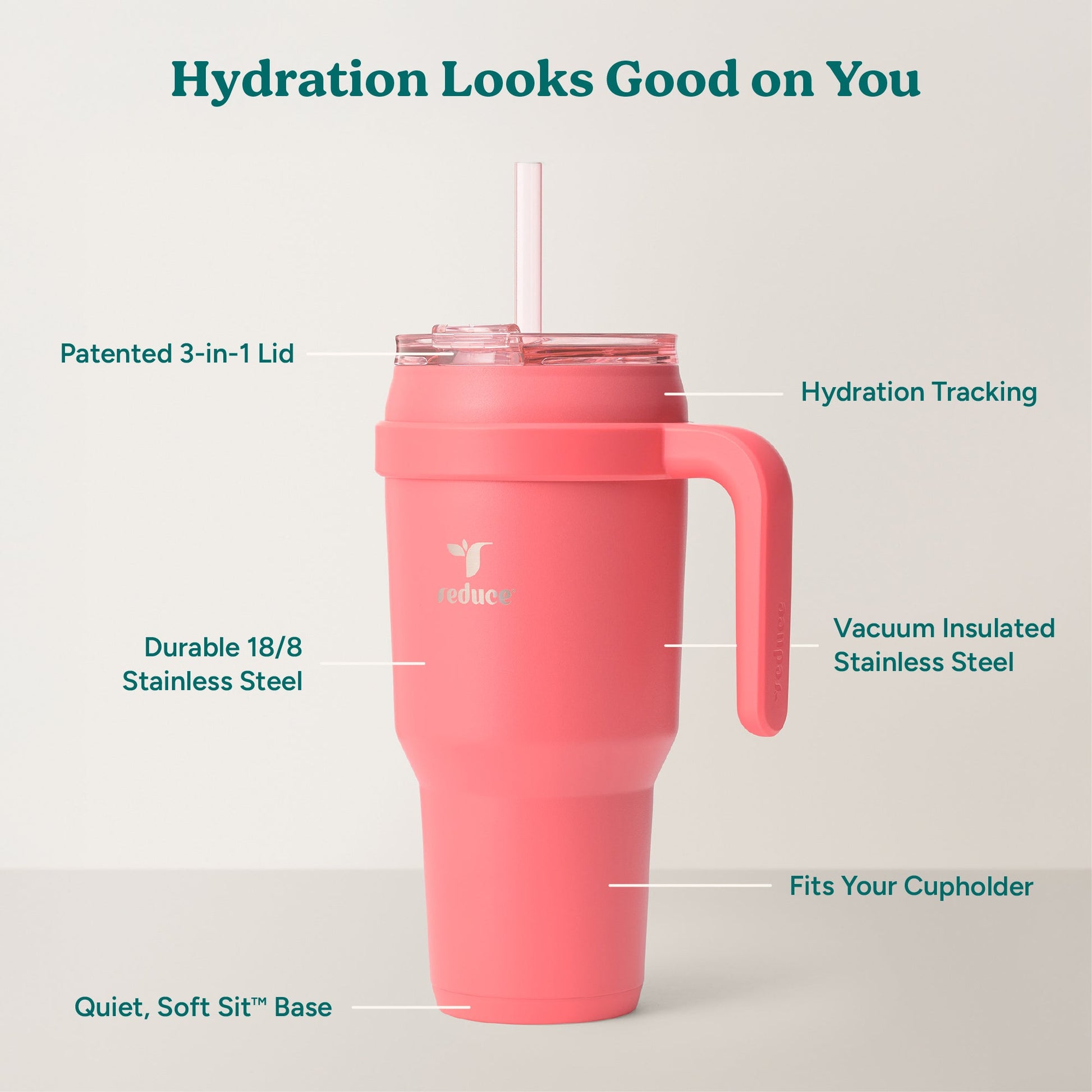 cold1-40-oz-y3 Cold1_40oz_Daiquiri_Infographic_2.jpg