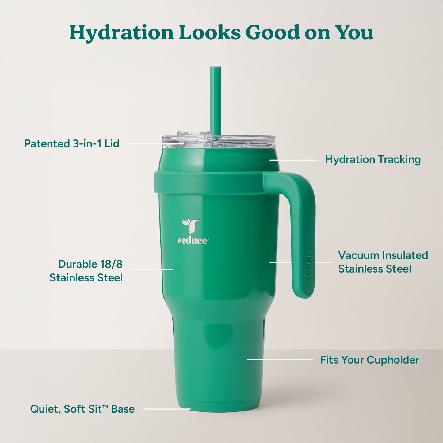cold1-40-oz-y3 Cold1_40oz_PalmLeaf_Infographic_2.jpg