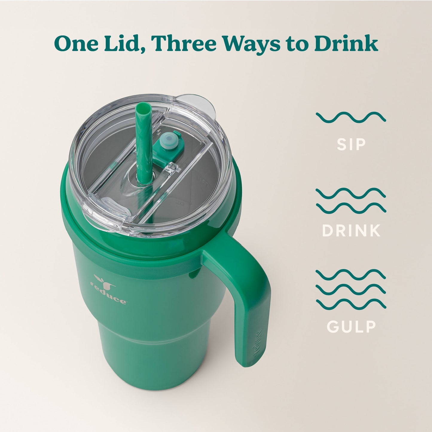 cold1-40-oz-y3 Cold1_40oz_PalmLeaf_Infographic_3.jpg