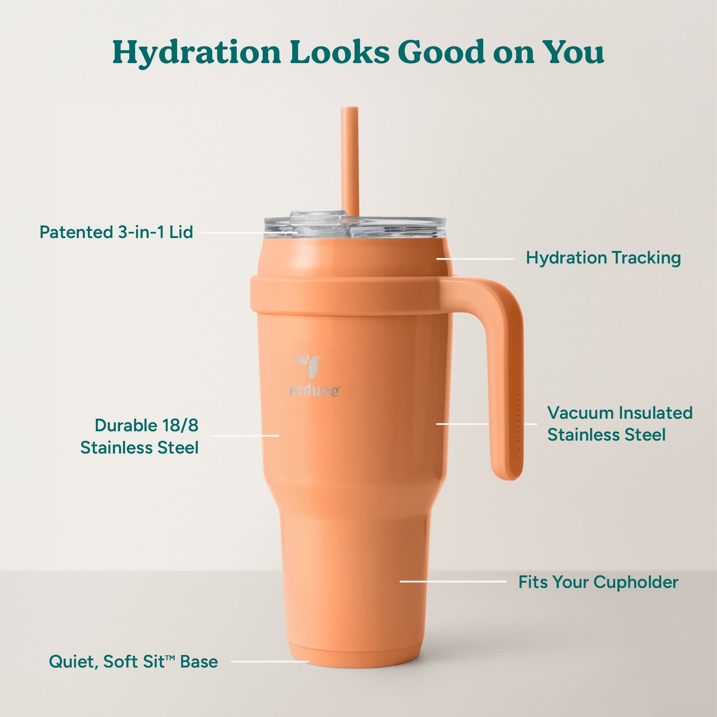 cold1-40-oz-y3 Cold1_40oz_Papaya_Infographic_2.jpg
