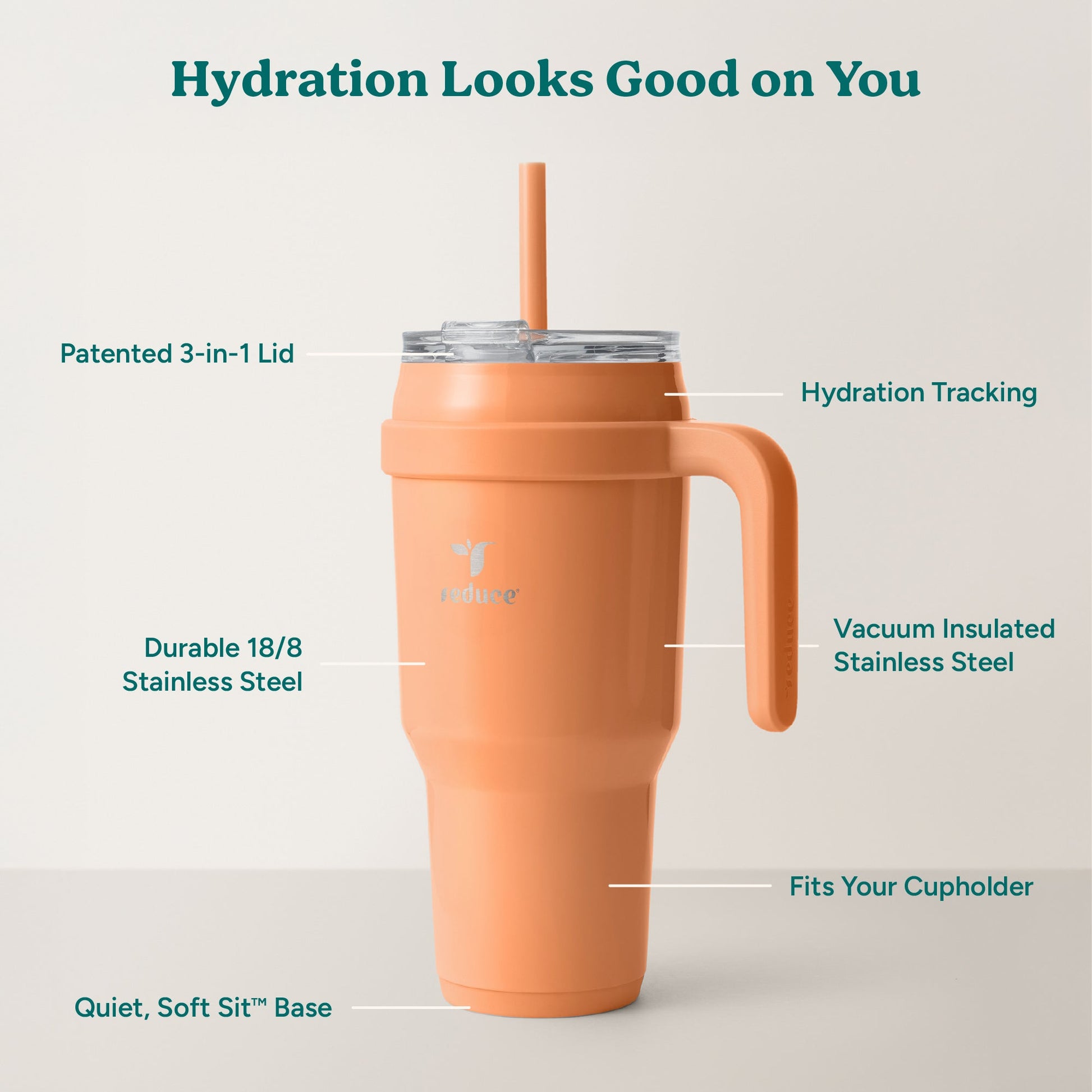 cold1-40-oz-y3 Cold1_40oz_Papaya_Infographic_2.jpg