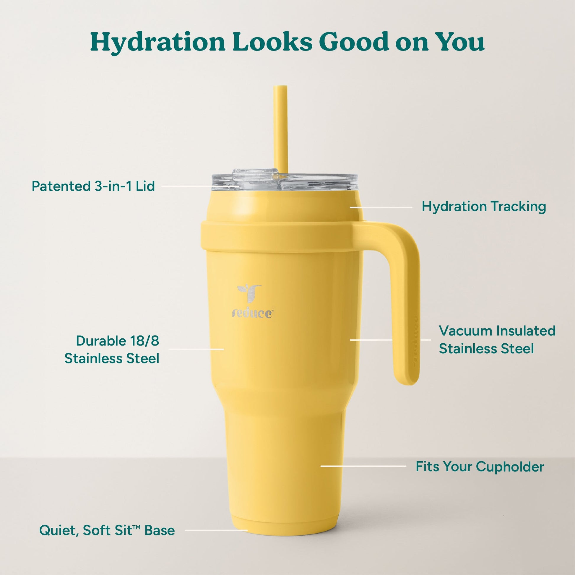 cold1-40-oz-f1 Cold1_40oz_Pineapple_Infographic_2.jpg