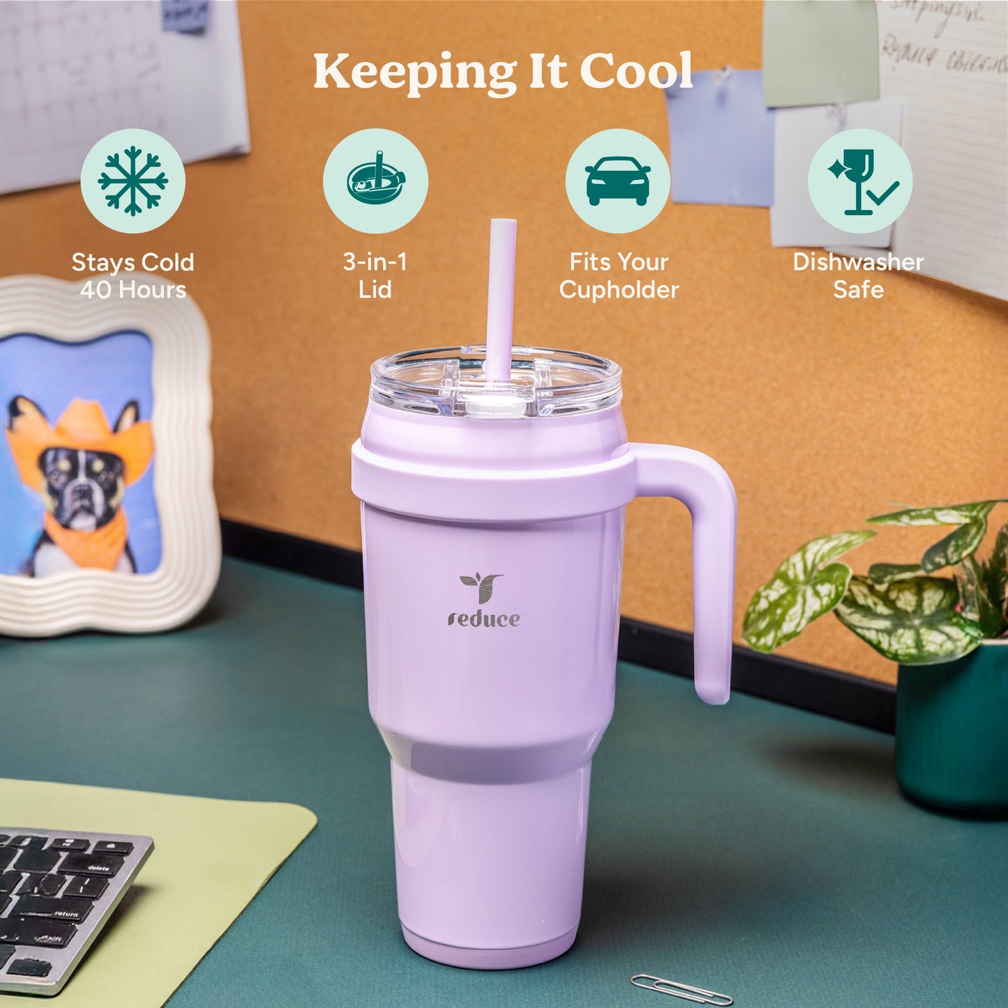 cold1-40-oz-y3 Cold1_40oz_PurplePunch_Infographic_1.jpg
